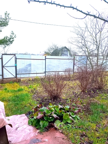 Купить дачу в Москве. Вариант № 10129650, 19, площадь - квм, цена 1980000 рублей