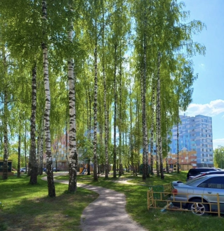 Купить квартиру у метро Автозаводская в Нижнем Новгороде. Вариант № 38897, 12, площадь -  квм, цена 5850000 рублей