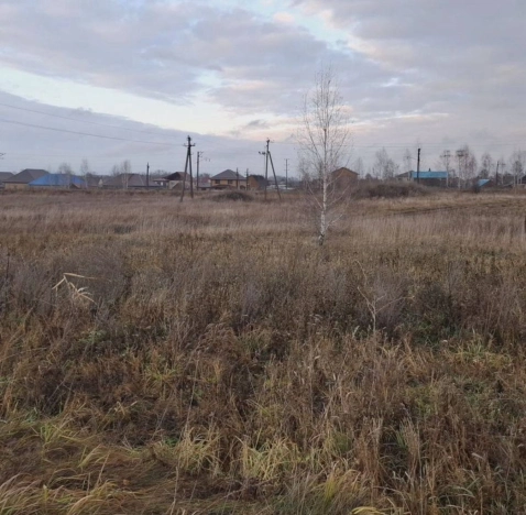 Купить земельный участок в Новосибирске. Вариант № 9269916, 3, площадь -  квм, цена 1100000 рублей