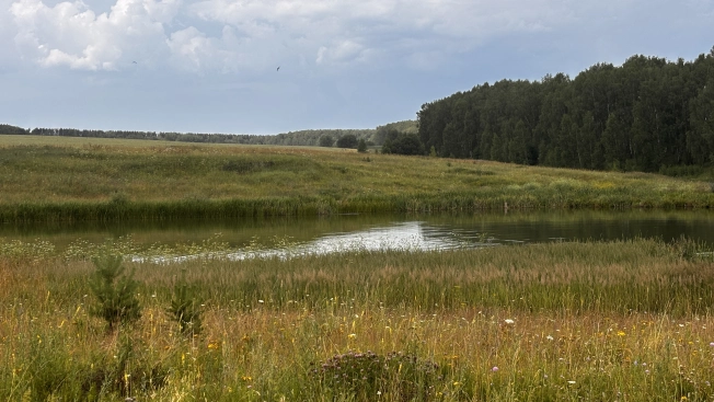 Купить земельный участок на улице 8-я линия в Нижегородской области. Вариант № 2880409, 4, площадь -  квм, цена 400000 рублей