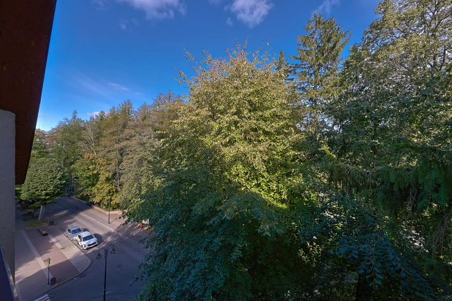 Купить квартиру в Светлогорске. Вариант № 6270749, 22, площадь -  квм, цена 21500000 рублей