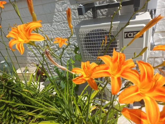 Купить дом на улице Шоссейный переулок в Краснодарском крае. Вариант № 280366, 11, площадь -  квм, цена 9400000 рублей