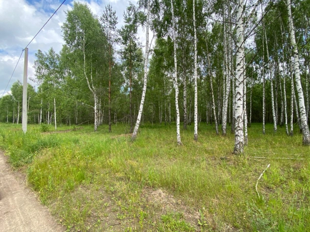 Купить земельный участок на улице Светлая в Рязанской области. Вариант № 9202, 15, площадь -  квм, цена 550000 рублей