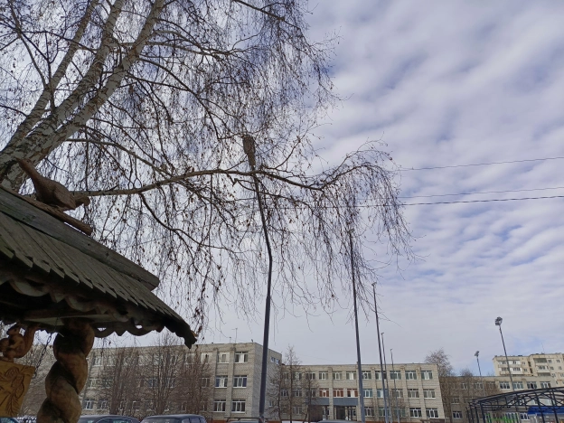 . Вариант № 1242229, 22, площадь - 54 квм, цена 45000.0000 рублей
