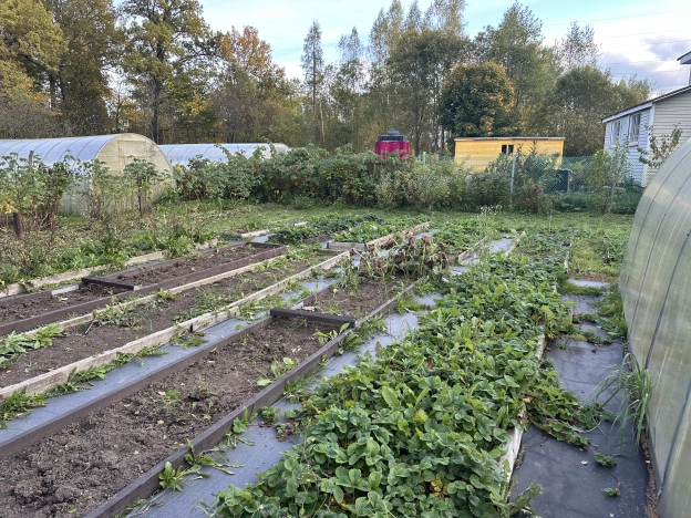 Купить дачу на улице 6-я линия в Владимирской области. Вариант № 7583119, 15, площадь -  квм, цена 1750000 рублей