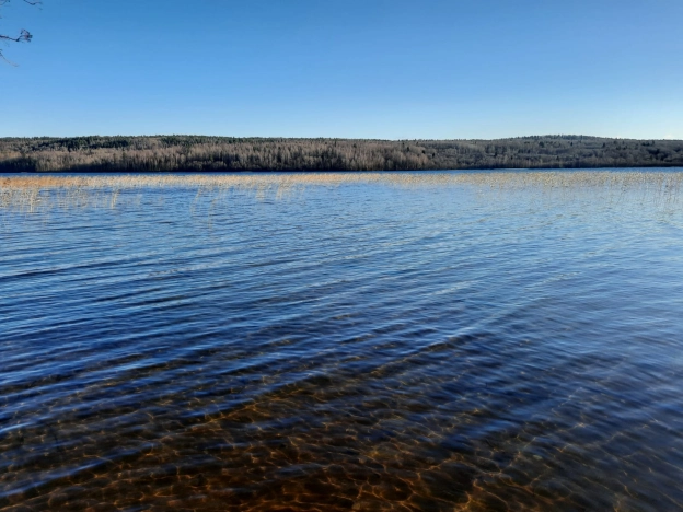 Купить земельный участок в Республике Карелия. Вариант № 21705, 13, площадь -  квм, цена 2000000 рублей