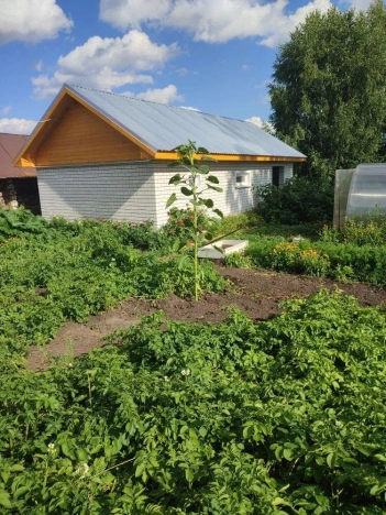 Купить дом в Республике Марий эл. Вариант № 5464304, 4, площадь -  квм, цена 3000000 рублей