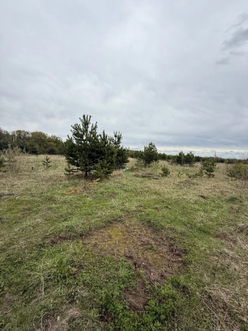 Купить земельный участок в районе Октябрьский в Владимире. Вариант № 17870, 0, площадь -  квм, цена 1869200 рублей