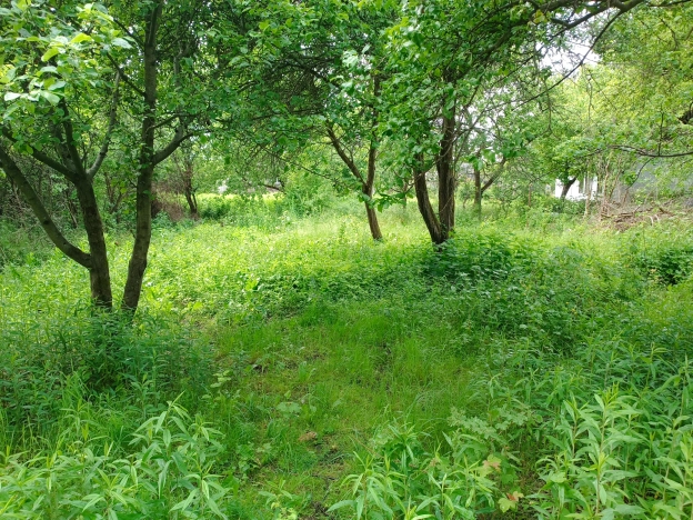 . Вариант № 52548, 6, площадь -  квм, цена 1100000 рублей