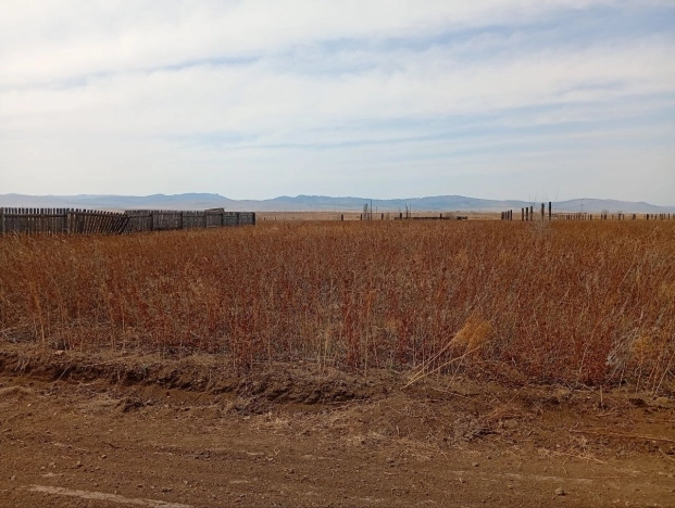 Купить земельный участок в Чите. Вариант № 21744, 0, площадь -  квм, цена 200000 рублей