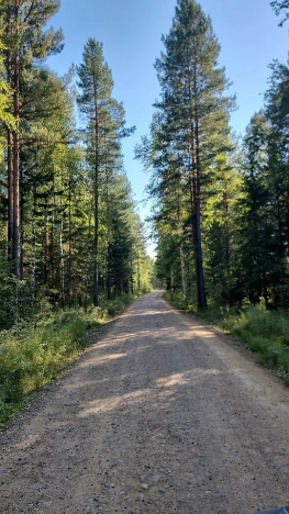 Купить дачу в Иркутской области. Вариант № 6825790, 14, площадь -  квм, цена 4200000 рублей