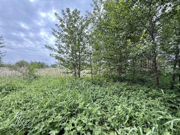 Купить земельный участок в Зеленоградске. Вариант № 46691, 3, площадь -  квм, цена 1700000 рублей