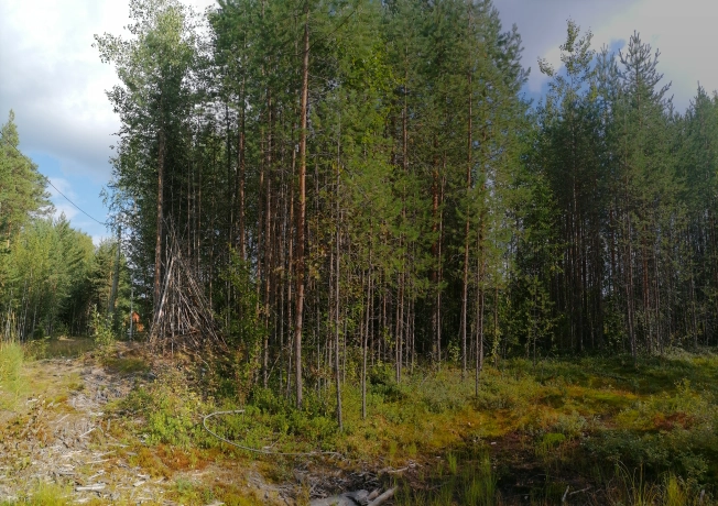 Купить земельный участок в Республике Коми. Вариант № 2358440, 5, площадь -  квм, цена 650000 рублей