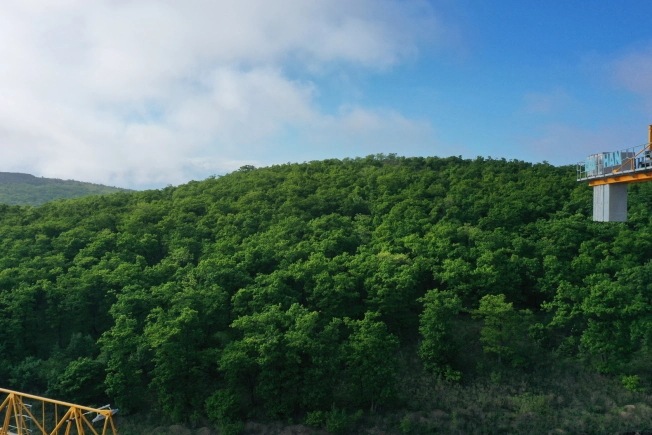 Купить двухкомнатную квартиру в новостройках в Приморском крае. Вариант № 4137500, 3, площадь -  квм, цена 10616500 рублей