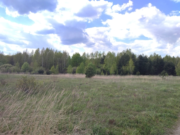 Купить земельный участок в Балашихе. Вариант № 43616, 3, площадь - квм, цена 39500000 рублей