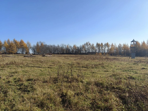 Купить земельный участок в Южно-Сахалинске. Вариант № 9917577, 0, площадь -  квм, цена 400000 рублей