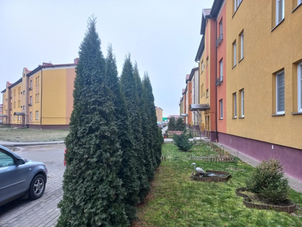 Купить однокомнатную квартиру на улице Солнечная в Калининградской области. Вариант № 24839, 9, площадь -  квм, цена 4000000 рублей