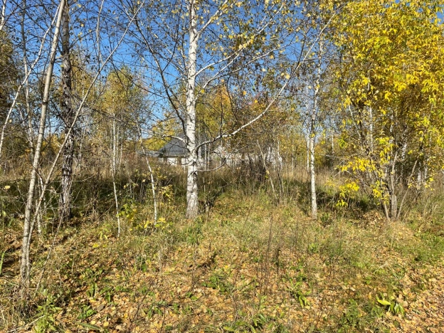 Купить земельный участок в Искитиме. Вариант № 1894947, 3, площадь -  квм, цена 2200000 рублей