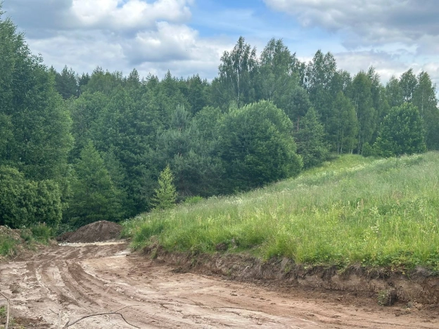 Купить земельный участок на улице 1 Мая в Нижегородской области. Вариант № 57243, 1, площадь -  квм, цена 370000 рублей