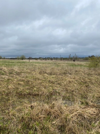 Купить земельный участок в Вологодской области. Вариант № 41182, 1, площадь -  квм, цена 270000 рублей