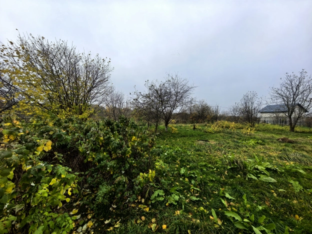 Купить дом в Калининграде. Вариант № 8763491, 34, площадь -  квм, цена 5300000 рублей