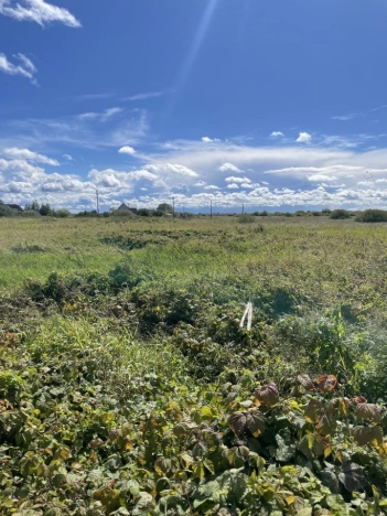 Купить земельный участок в Тверской области. Вариант № 50194, 0, площадь -  квм, цена 350000 рублей