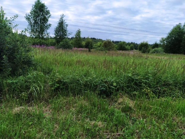 Купить земельный участок в Тульской области. Вариант № 3992, 0, площадь -  квм, цена 350000 рублей