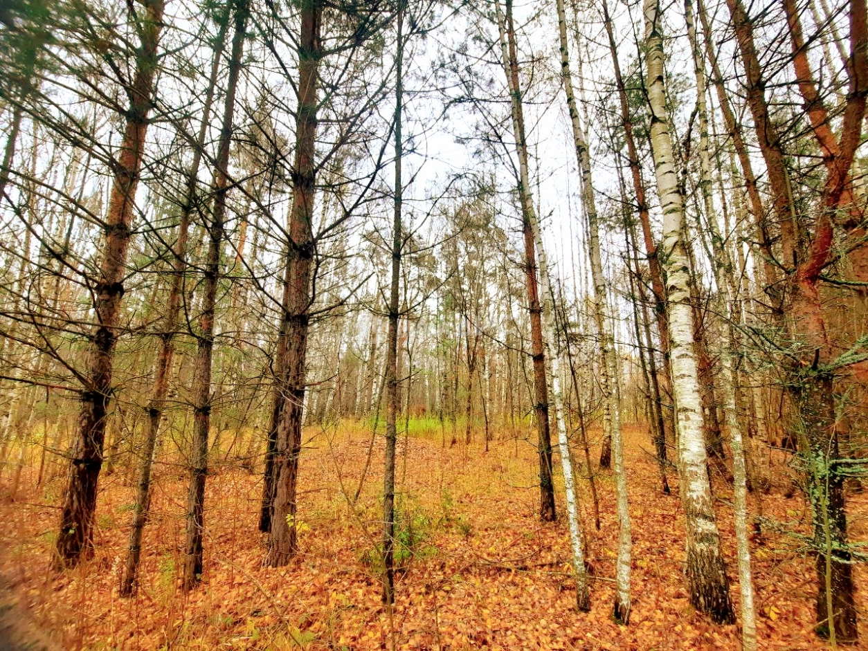 Photo https://36000382-a1c2-4a8a-a109-3fc3bfc73cf7.selcdn.net/App/Entity/ObjectRealty/ObjectRealty/CT/10cb446a-6457-48af-8694-2ece8671a8bb.jpg.compressed.webp