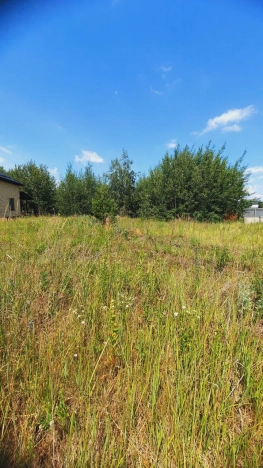 Купить земельный участок в Воронеже. Вариант № 273992, 5, площадь -  квм, цена 4200000 рублей