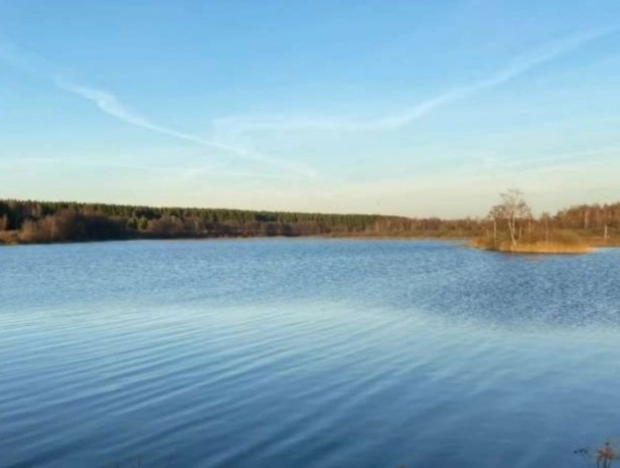 Купить дом на улице Старая Ляча в Ярославской области. Вариант № 16758, 23, площадь -  квм, цена 6700000 рублей