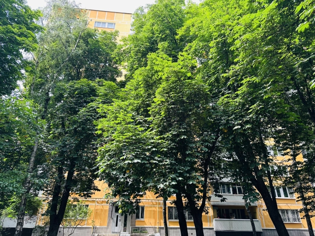 Купить квартиру в районе Бирюлёво Восточное в Москве. Вариант № 56409, 19, площадь - квм, цена 12900000.0000 рублей
