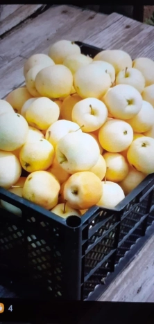 Купить земельный участок в Искитиме. Вариант № 37959, 13, площадь -  квм, цена 3300000 рублей