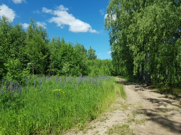 Купить земельный участок у метро Московская в Нижнем Новгороде. Вариант № 1285, 1, площадь -  квм, цена 750000 рублей