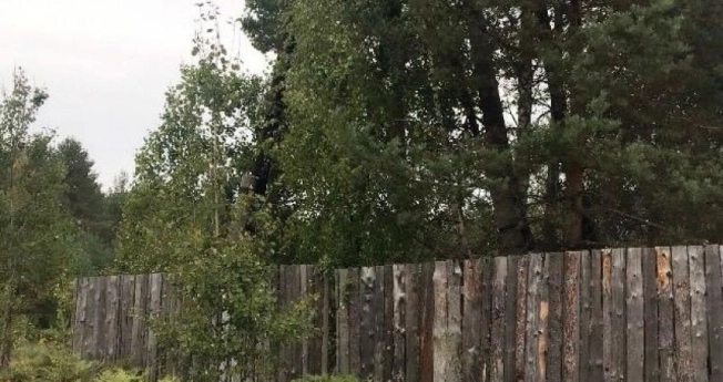 Купить трехкомнатную квартиру на улице Полевая в Нижегородской области. Вариант № 5551029, 3, площадь -  квм, цена 3650000 рублей