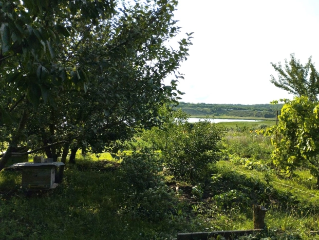 . Вариант № 1889252, 40, площадь - 118.4 квм, цена 6300000 рублей