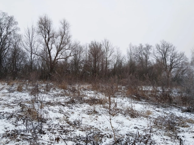 Купить земельный участок в Тульской области. Вариант № 19500, 10, площадь -  квм, цена 495000 рублей