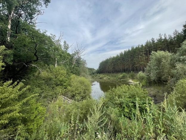 Купить дом в Воронеже. Вариант № 561797, 36, площадь -  квм, цена 13500000 рублей