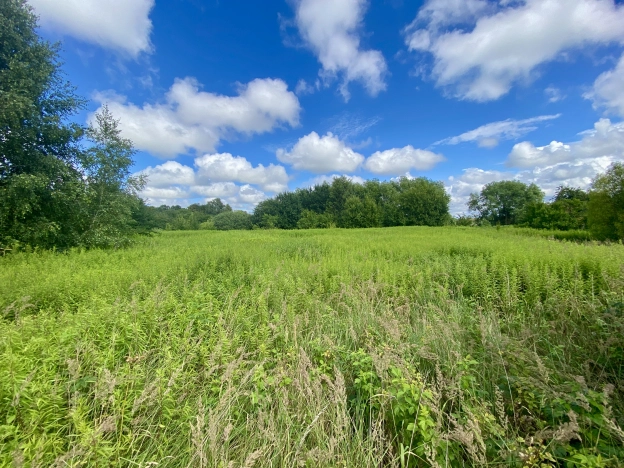 Купить земельный участок в Калининграде. Вариант № 1170760, 3, площадь -  квм, цена 1050000 рублей