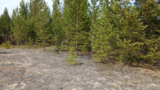 Купить земельный участок в Улан-Удэ. Вариант № 6938937, 9, площадь -  квм, цена 260000 рублей