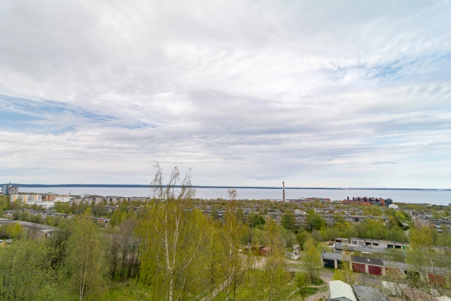 Купить квартиру на улице Дивизионный проезд в Петрозаводске. Вариант № 44300, 33, площадь -  квм, цена 5550000 рублей