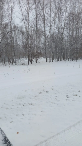 Купить земельный участок в Новосибирске. Вариант № 10049839, 2, площадь -  квм, цена 580000 рублей