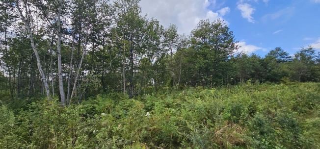 Купить земельный участок в Южно-Сахалинске. Вариант № 6882938, 0, площадь -  квм, цена 1300000 рублей