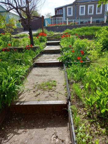 Купить дом в Волгоградской области. Вариант № 44884, 0, площадь -  квм, цена 3500000 рублей