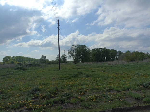 Купить земельный участок в Новосибирске. Вариант № 37892, 3, площадь -  квм, цена 800000 рублей