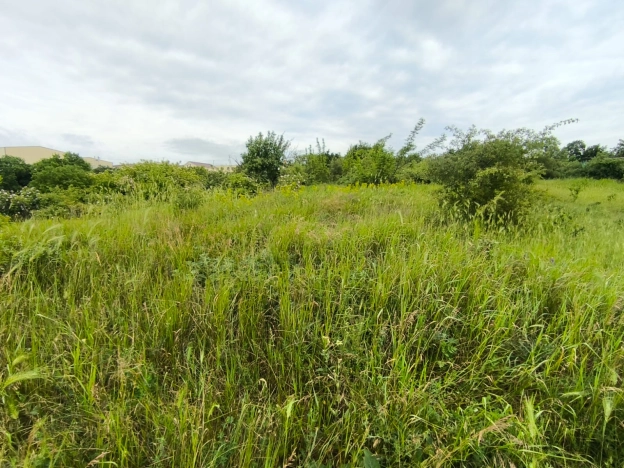 Купить земельный участок в Новороссийске. Вариант № 47220, 0, площадь -  квм, цена 2300000 рублей