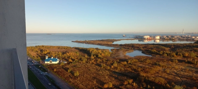Купить однокомнатную квартиру в Санкт-Петербурге. Вариант № 10181473, 23, площадь -  квм, цена 18750000 рублей
