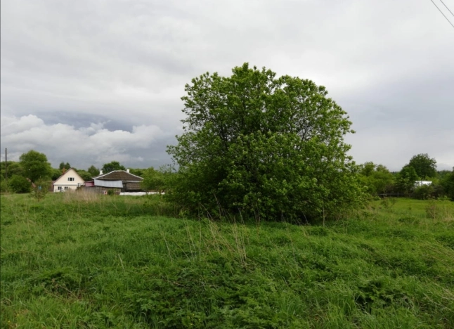 Купить земельный участок в Собинке. Вариант № 4568, 2, площадь -  квм, цена 260000 рублей