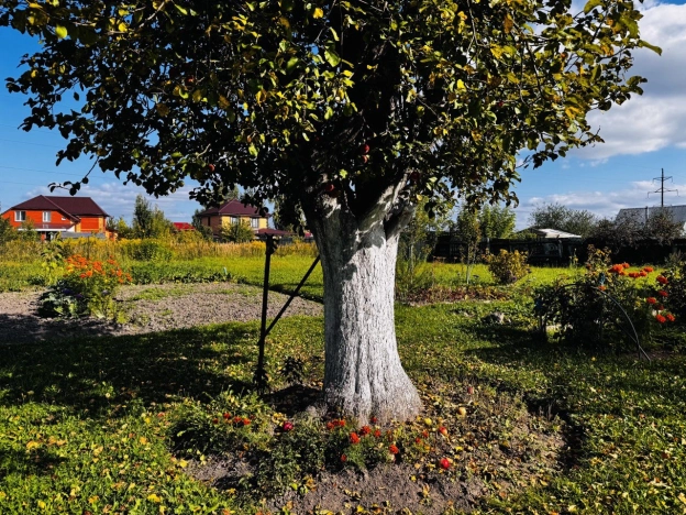 Купить дом в Брянской области. Вариант № 3918552, 19, площадь -  квм, цена 4250000 рублей