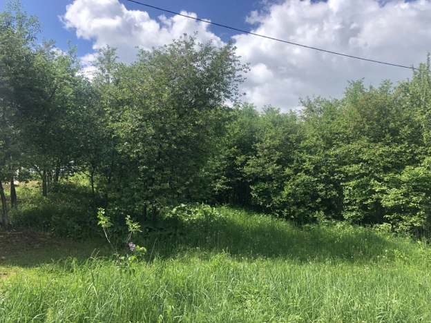 Купить земельный участок в Нижнем Новгороде. Вариант № 6861326, 2, площадь -  квм, цена 980000 рублей