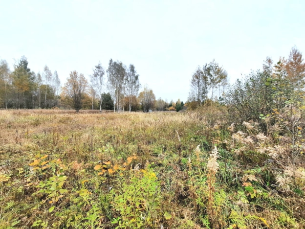 Купить земельный участок в районе Октябрьский в Владимире. Вариант № 14765, 1, площадь -  квм, цена 480000 рублей